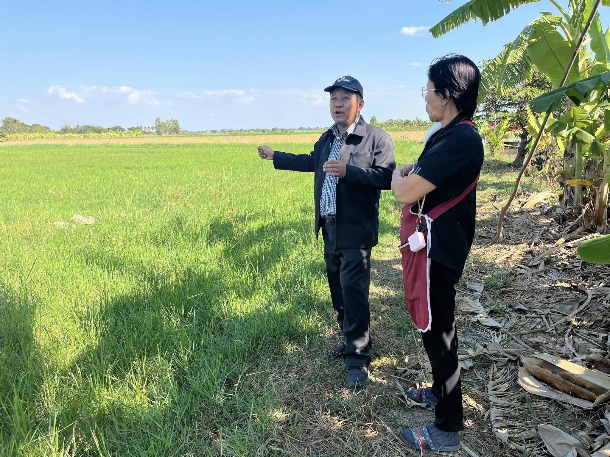 title - ส.ป.ก.อ่างทอง ลงพื้นที่ตรวจสอบการทำประโยชน์ในเขตปฏิรูปที่ดินแปลง นางวิไลวรรณ นุ่มมณี พื้นที่หมู่ 7 ตำบลโคกพุทรา อำเภอโพธิ์ทอง จังหวัดอ่างทอง
